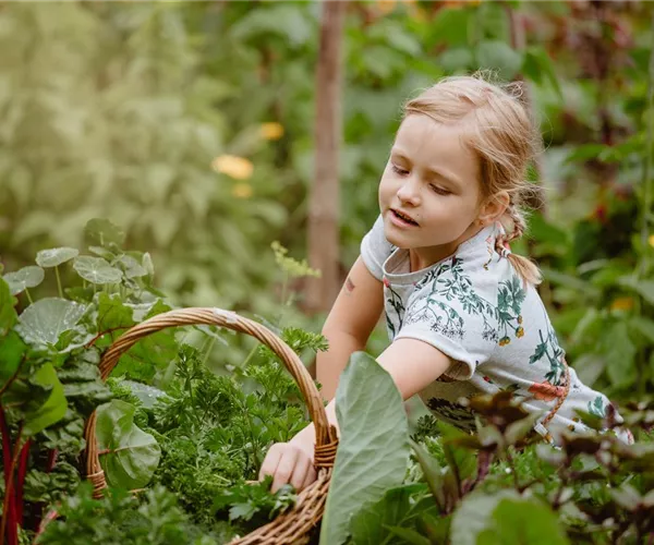 - Jetzt kann geerntet werden! Kinder spielerisch einbeziehen  - Jetzt kann geerntet werden! Kinder spielerisch einbeziehen