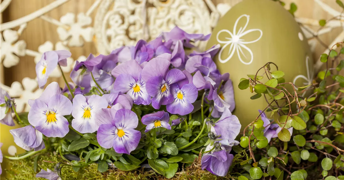  - Ein buntes Osterfest mit den passenden Frühlingsboten