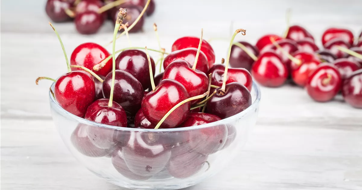  - Die Früchte des Gartens gut verarbeiten