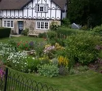 - Staudengarten easy going  - Staudengarten easy going