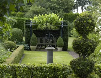 Auf die Form gekommen – Formgehölze im Garten