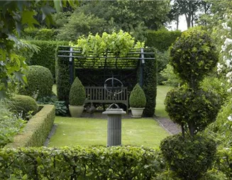 Auf die Form gekommen – Formgehölze im Garten