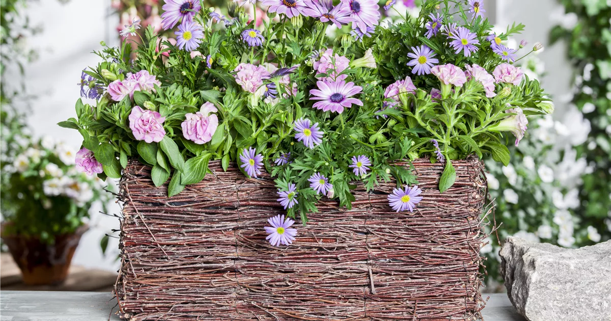  - Frühling, Sommer, Herbst, Winter: der Balkon ist immer ein schöner Anblick