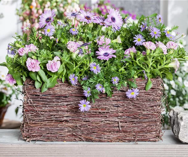 - Frühling, Sommer, Herbst, Winter: der Balkon ist immer ein schöner Anblick  - Frühling, Sommer, Herbst, Winter: der Balkon ist immer ein schöner Anblick