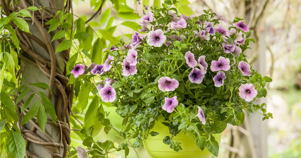  - Urban Gardening trifft Upcycling – Blumenampeln aus einem Küchensieb