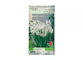 Blumenzwiebeln - Narzissen Paperwhites Tazetta weiß, 5 Stück