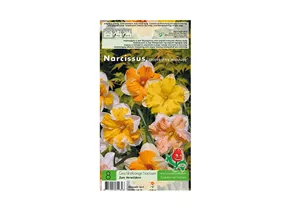 Blumenzwiebeln - Narzissen Splittkronig / Spezialitäten Mischung, 8 Stück