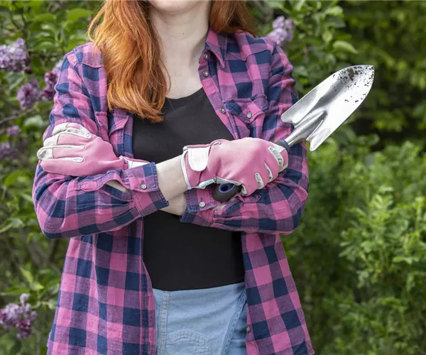 - Es ist soweit: der Frühjahrsputz im Garten  - Es ist soweit: der Frühjahrsputz im Garten