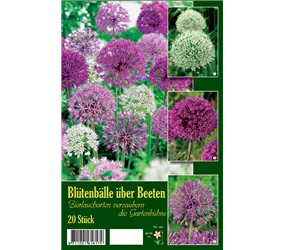 Blumenzwiebeln - Blütenbälle Über Beeten Zierlauch 20 Stück - Gemischt Blumenzwiebeln - Blütenbälle Über Beeten Zierlauch 20 Stück - Gemischt