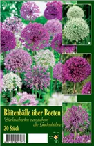 Blumenzwiebeln - Blütenbälle Über Beeten Zierlauch 20 Stück - Gemischt