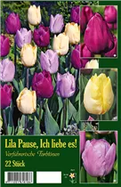 Blumenzwiebeln - Tulpen Lila Pause Ich Liebe Es 22 Stück - Gemischt
