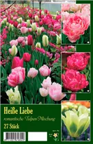 Blumenzwiebeln - Romantische Tulpen-Mischung Heiße Liebe 27 Stück - Rot