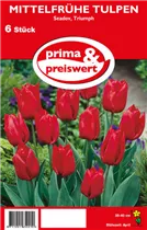 Blumenzwiebeln - Tulpen Seadov Triumph 6 Stück - Rot