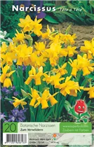 Blumenzwiebeln - Narzisse Tete A Tete Cyclamineus 20 Stück - Gelb Blumenzwiebeln - Narzisse Tete A Tete Cyclamineus 20 Stück - Gelb