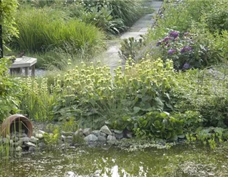 Der Naturgarten - Ausgleich zum Arbeitsalltag