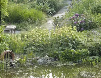 Der Naturgarten - Ausgleich zum Arbeitsalltag