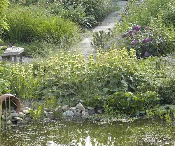 - Der Naturgarten - Ausgleich zum Arbeitsalltag  - Der Naturgarten - Ausgleich zum Arbeitsalltag