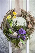 Campanula portenschlagiana 'Get Mee'® - Polster-Glockenblume 'Get Mee'®