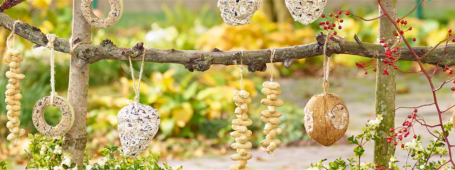 Vogelfutter_1903x450px