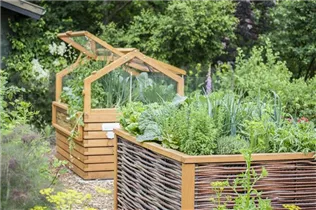 Gartenkräuter - Gartenkräuter