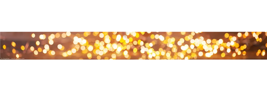 LED Lichterketten LED Lichterketten
