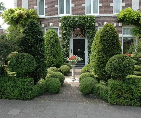 - Top in Form – Büsche regelmäßig schneiden  - Top in Form – Büsche regelmäßig schneiden