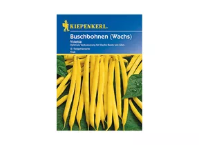 Kiepenkerl Saatgut - Buschbohnen Voletta
