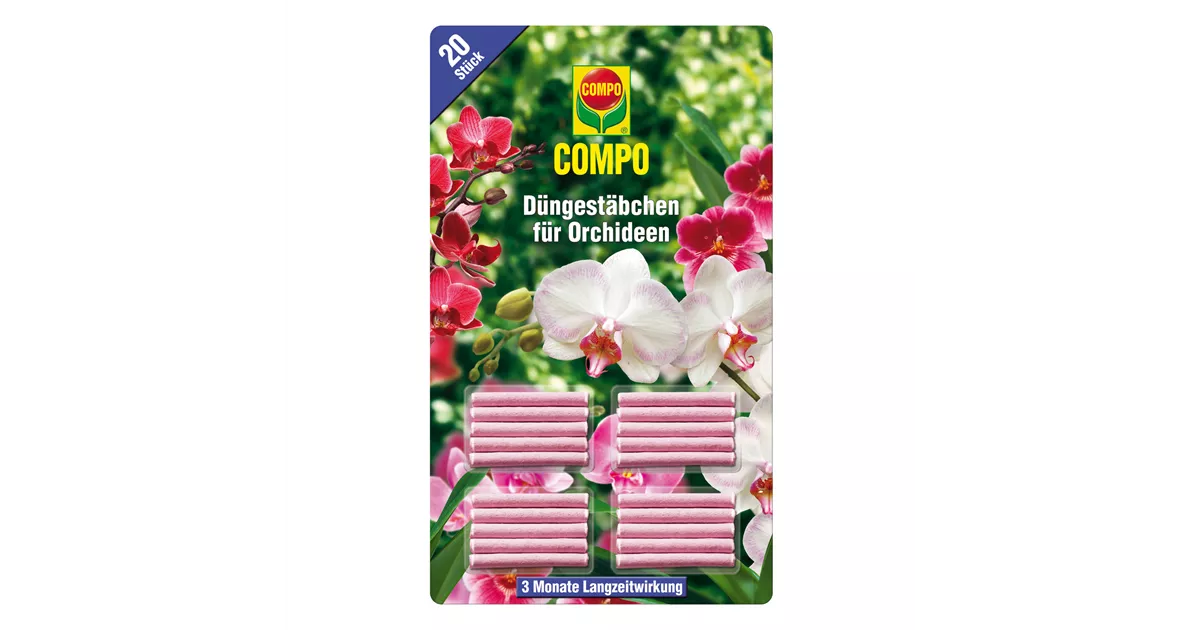 saatgut bio kaufen BIO-Saatgut Basilikum main image 0