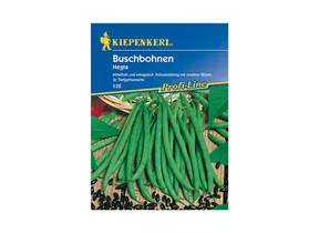 Kiepenkerl Saatgut - Buschbohne Negra Kiepenkerl Saatgut - Buschbohne Negra