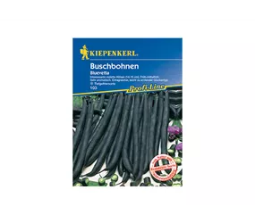 Kiepenkerl Saatgut - Buschbohnen Bluevetta