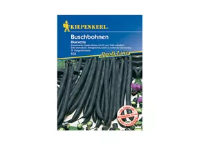 Kiepenkerl Saatgut - Buschbohnen Bluevetta