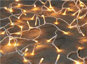 LED Lichterkette - Ricelight 40 LED 2 m classic warm