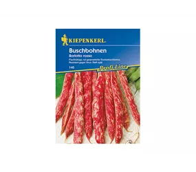 Kiepenkerl Saatgut - Buschbohnen Borlotto Rosso