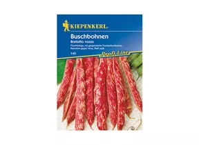 Kiepenkerl Saatgut - Buschbohnen Borlotto Rosso