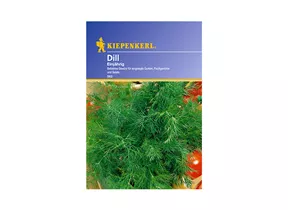 Kiepenkerl Saatgut - Dill Einjährig