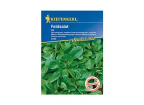 Kiepenkerl Saatgut - Feldsalat Vit