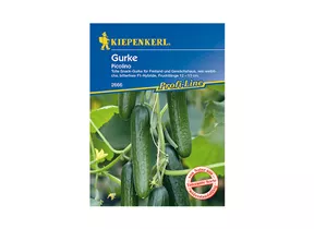 Kiepenkerl Saatgut - Gurken Picolino F1