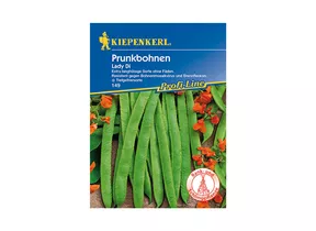 Kiepenkerl Saatgut - Prunkbohnen Lady Di