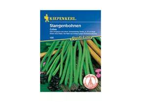 Kiepenkerl Saatgut - Stangenbohnen Cobra