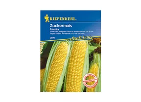 Kiepenkerl Saatgut - Zuckermais Tatonka