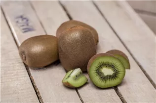 Actinidia chinensis - Kiwi Actinidia chinensis - Kiwi