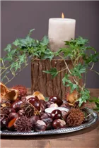 Aesculus hippocastanum - Rosskastanie