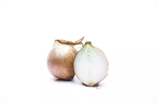 Allium cepa - Zwiebel Allium cepa - Zwiebel
