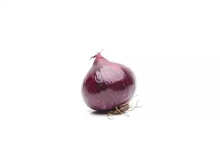 Allium cepa - Zwiebel Allium cepa - Zwiebel
