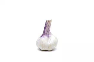 Allium sativum - Echter Knoblauch Allium sativum - Echter Knoblauch