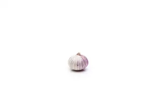 Allium sativum - Echter Knoblauch Allium sativum - Echter Knoblauch