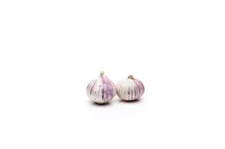 Allium sativum - Echter Knoblauch Allium sativum - Echter Knoblauch