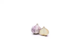 Allium sativum - Echter Knoblauch Allium sativum - Echter Knoblauch