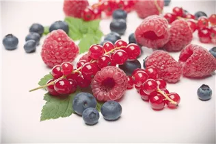 Beerenobst - Beeren Beerenobst - Beeren