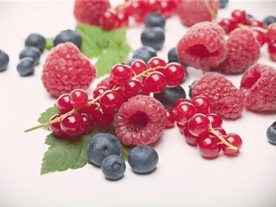 Beerenobst - Beeren Beerenobst - Beeren